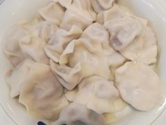 猪肉大葱水饺-石老头关东饺子王·东北菜(嘉华鑫城店)