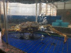 -喜相逢海鲜美食城(五邑平价农副产品批发市场店)