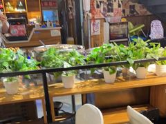 -蛙鱼道美蛙鱼自助火锅(新耍都店)