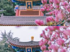 -西安市广仁寺