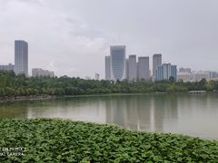 -洛龙公园