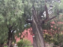 -北京市劳动人民文化宫(太庙)
