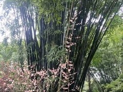 -成都杜甫草堂博物馆