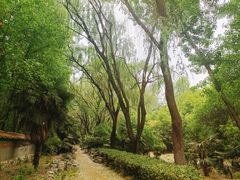 -洛阳龙门海洋馆