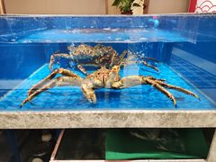-帝皇海海鲜豆捞(桐泾商务广场店)