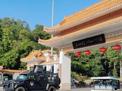 -深圳仙湖植物园