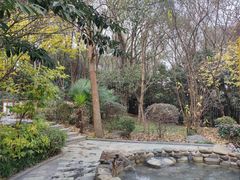 -洪湖悦兮半岛国际温泉度假村