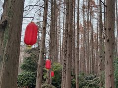 -上海怡沁园度假酒店