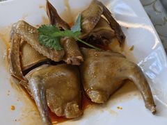 -百利鸽王(紫薇路店)