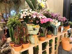 店内布置-PlantsEatery·植物食堂(REX春熙店)