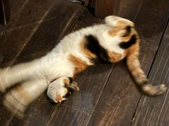 -BUND·FIVE外滩5号(天际店)