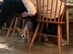 -the rug 飞毯 (朝阳公园店)
