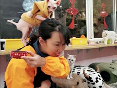 -囡的喵喵酱·萌宠生活馆·宠物洗护美容(胶州路店)