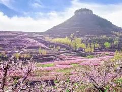 -岱崮地貌旅游区