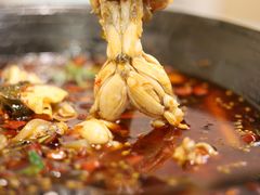 -鸿顺老铁锅美蛙鱼府(解放碑店)