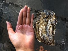 -千岛蚝高压锅生蚝·人参火锅(白云万达店)