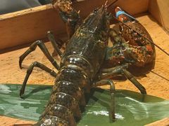 -Ginza Onodera铁板烧(外滩十八号店)