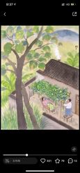 -碧莲盛·不剃发植发