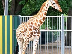 -泉州海丝野生动物世界