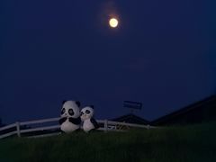 -天目湖涵田度假村