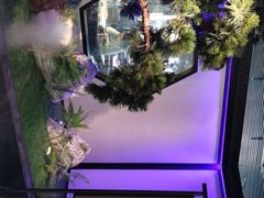 -绿茶餐厅(成都大悦城店)