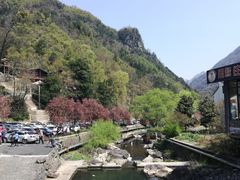 -藏龙百瀑风景区