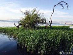 -大理洱海