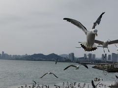 -星海广场