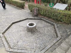 -上海佘山国家森林公园天马山园