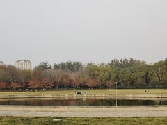 -泰丰公园