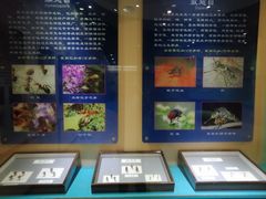 -上海昆虫博物馆