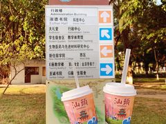-一杯潮茶·专注潮汕茶饮(朝阳庄店)