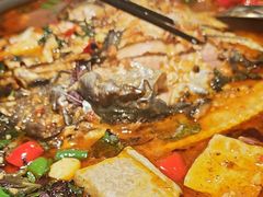 -探炉·香辣豆花烤鱼(笋岗宝能环球汇店)