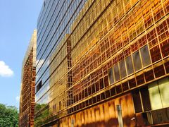 -香港皇家太平洋酒店