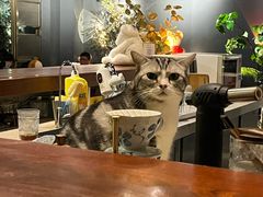 -咖法森林·咖啡  酒吧(天河店)