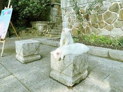 -采石矶景区