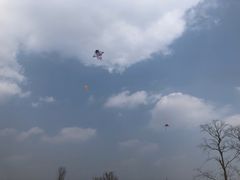 -白鹭湾湿地公园