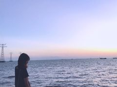 -宝安西湾红树林湿地公园