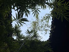 -31号公馆(黄兴广场白果园店)