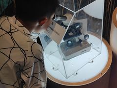 -上海长江河口科技馆