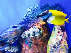 -上海海洋水族馆