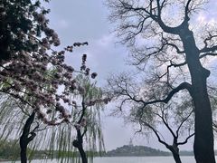 -北海公园