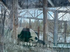 -鄂尔多斯野生动物园