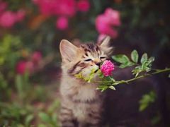 -纯歌派对量贩式KTV(四季城店)