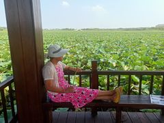 -天津东丽湖风景区