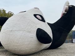 -苏州太湖国家湿地公园
