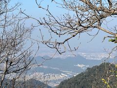 -午潮山国家森林公园