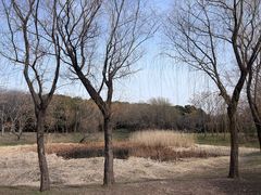 -蜀冈西峰生态公园