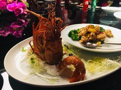 -三号黄浦会Canton Table