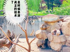 -西安秦岭野生动物园